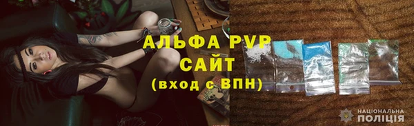 СК Снежногорск