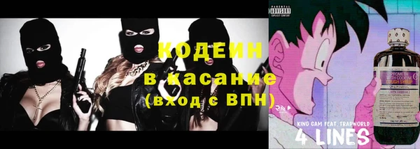 МДПВ Снежинск