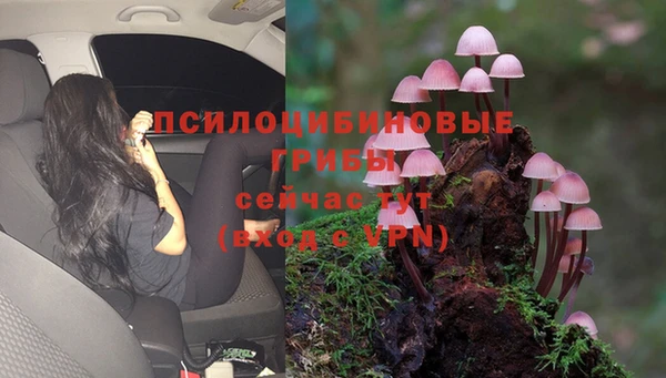 a pvp Алзамай